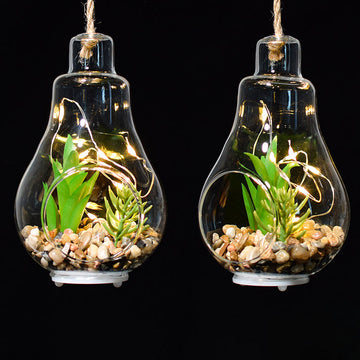 Elegant Hanging Terrarium Planter with Rope