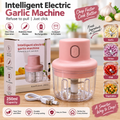 250ml Electric Garlic Chopper