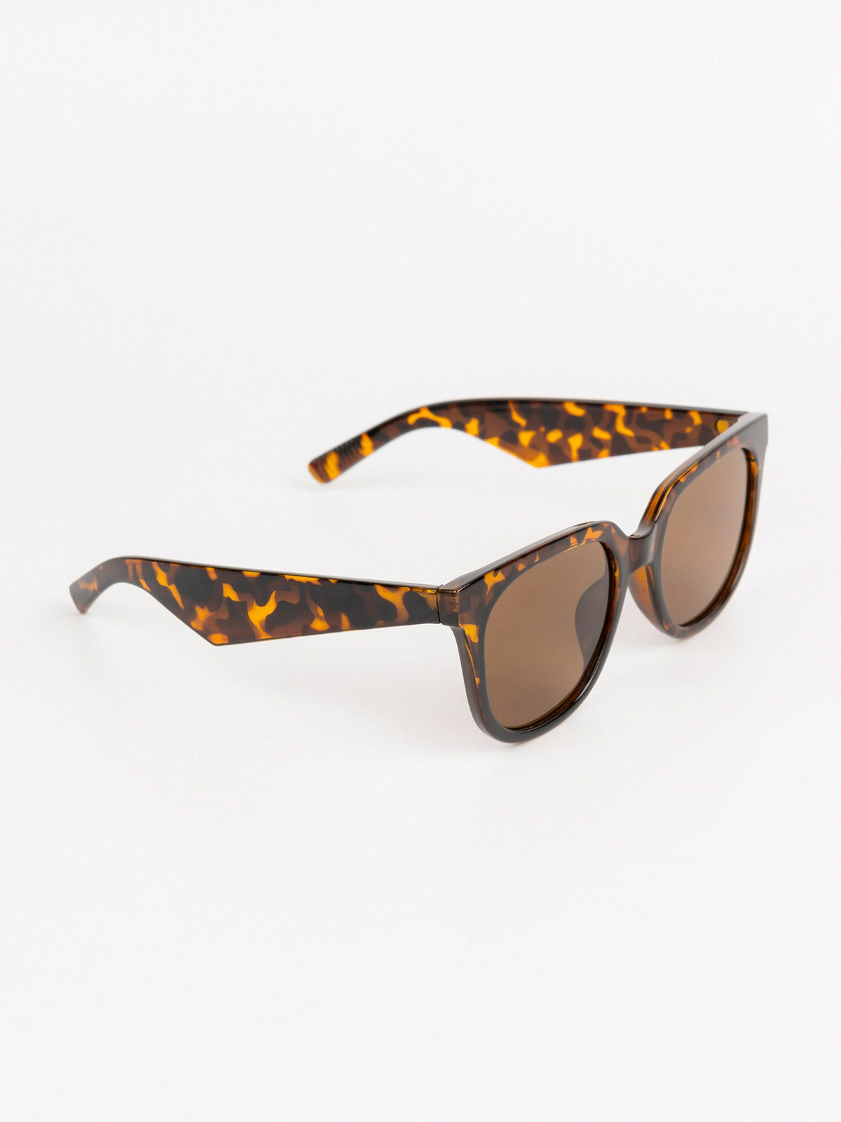 Wayfarer Sunglasses - Brown